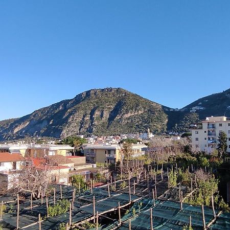 B&B Tina Piano di Sorrento Bagian luar foto